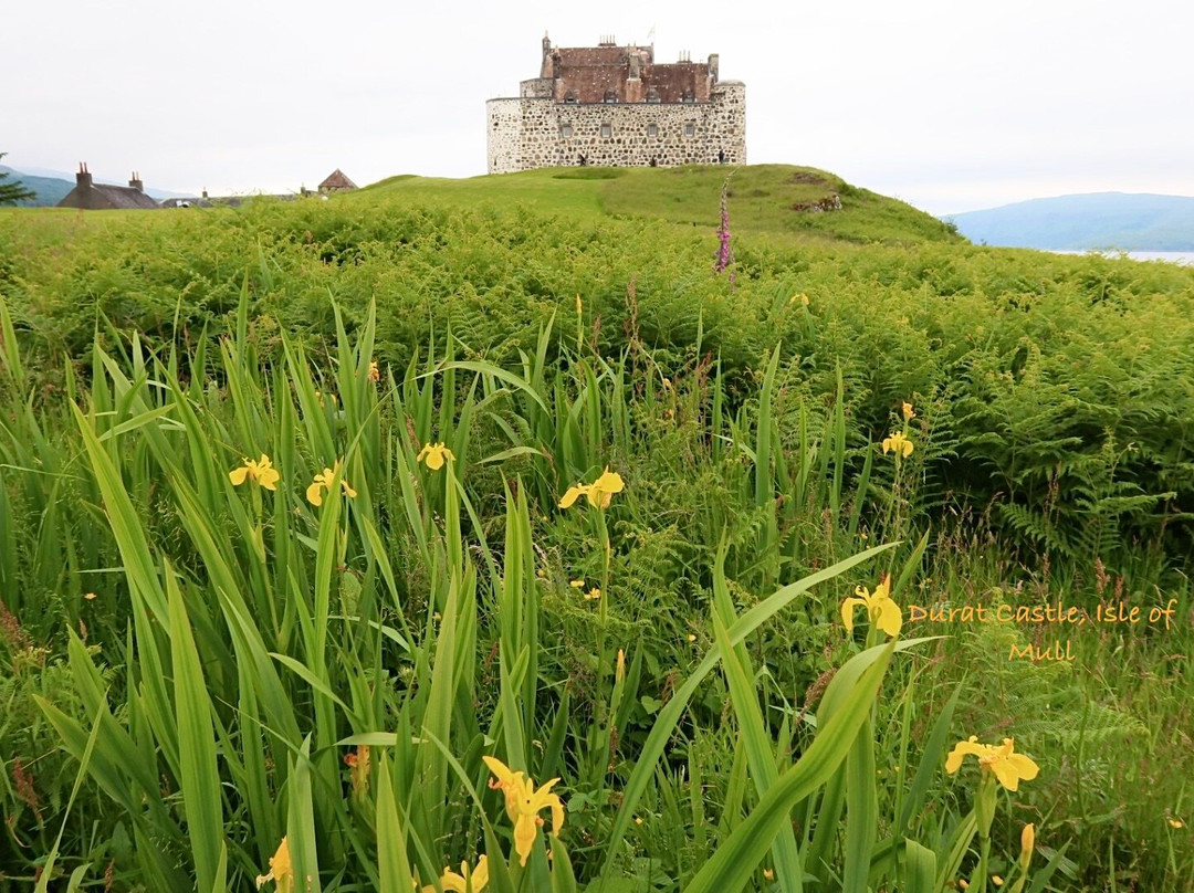 Duart Castle-马尔岛必去景点