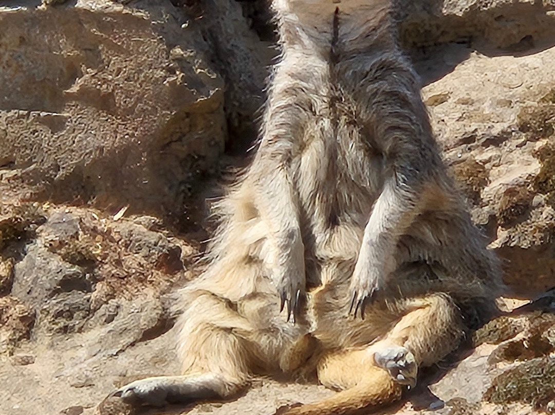 Yorkshire Wildlife Park-Auckley必去景点