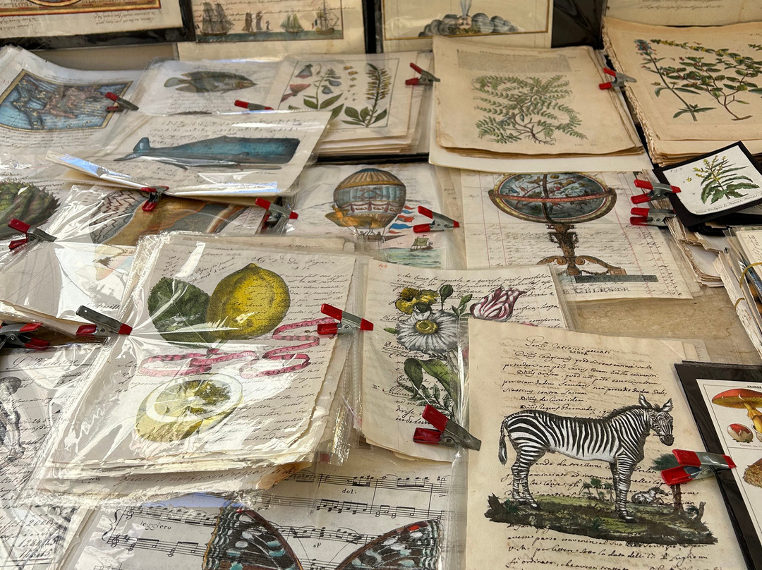 Antique Fair Arezzo-阿雷佐必去景点