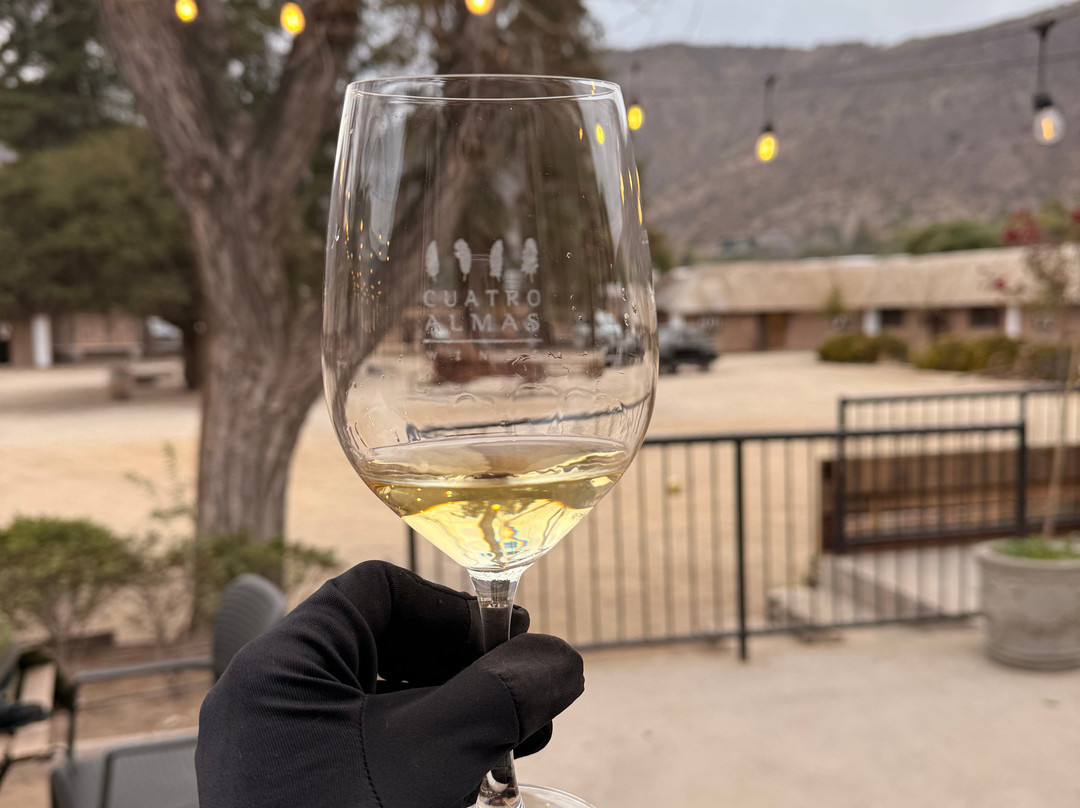 Cuatro Almas Wines-Buin必去景点