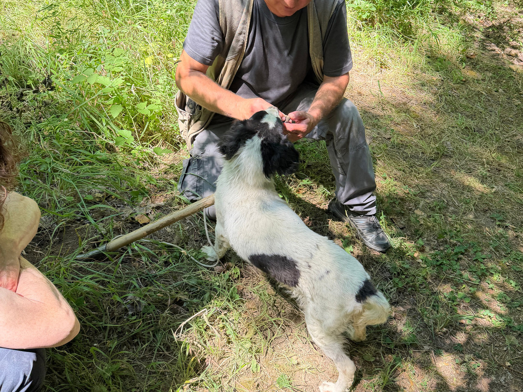 Truffle in Tuscany-圣米尼亚托必去景点
