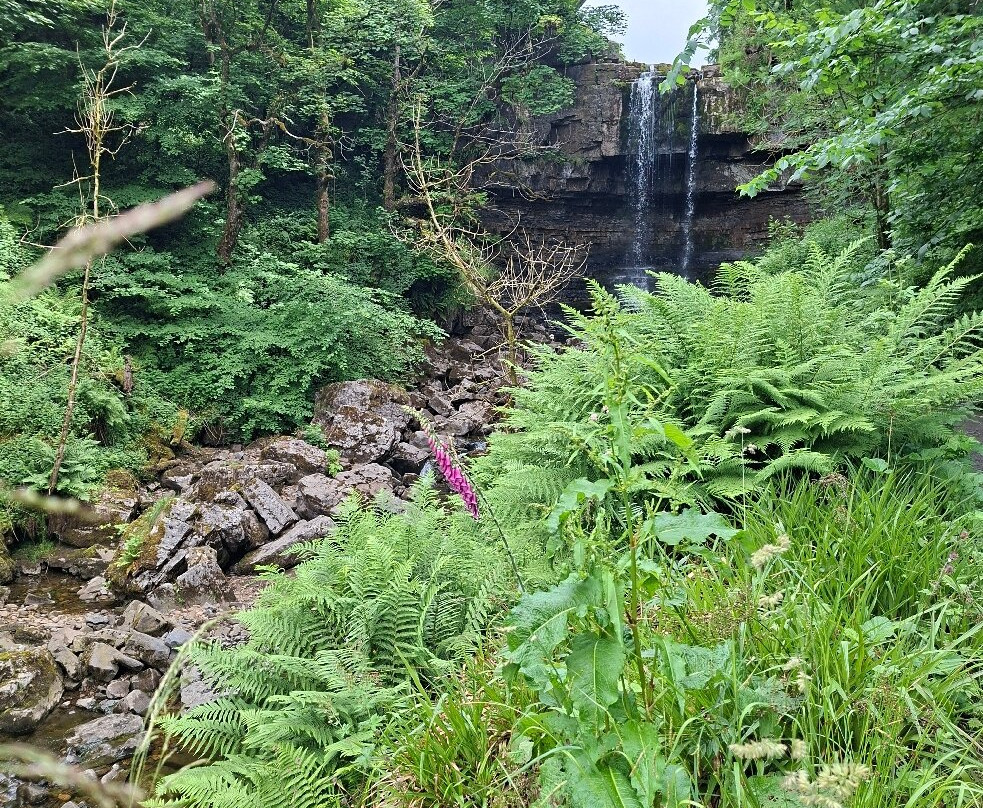 Garrigill Ashgill Force-Garrigill必去景点