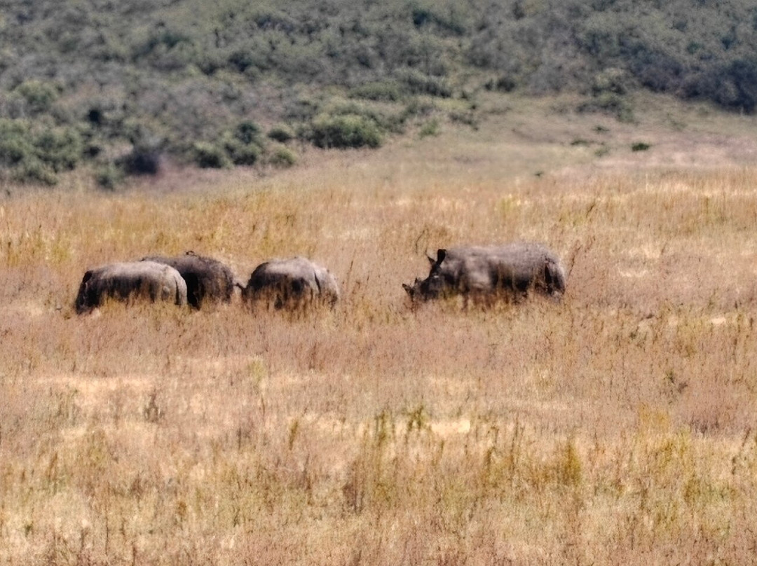 Ngorongoro Crater-恩戈罗恩戈罗保护区必去景点