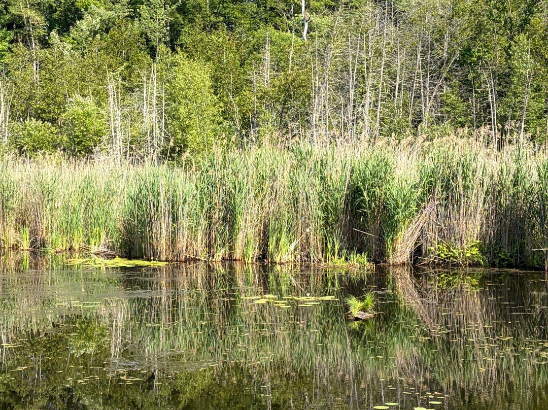 Marais de la Riviere aux Cerises-梅戈格必去景点