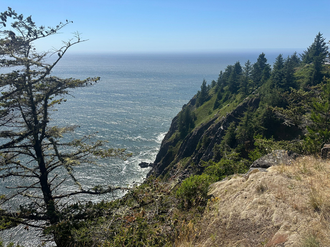 Neahkahnie Viewpoint