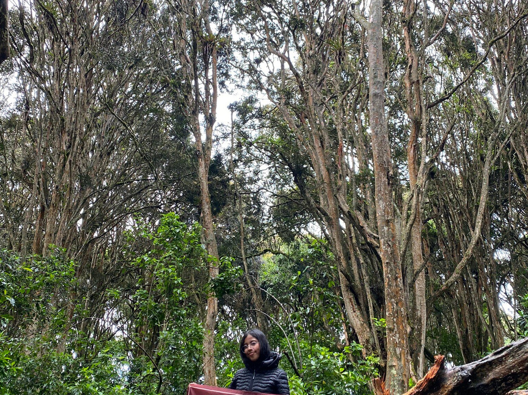 Bosque de los Arrayanes-Tulcan必去景点