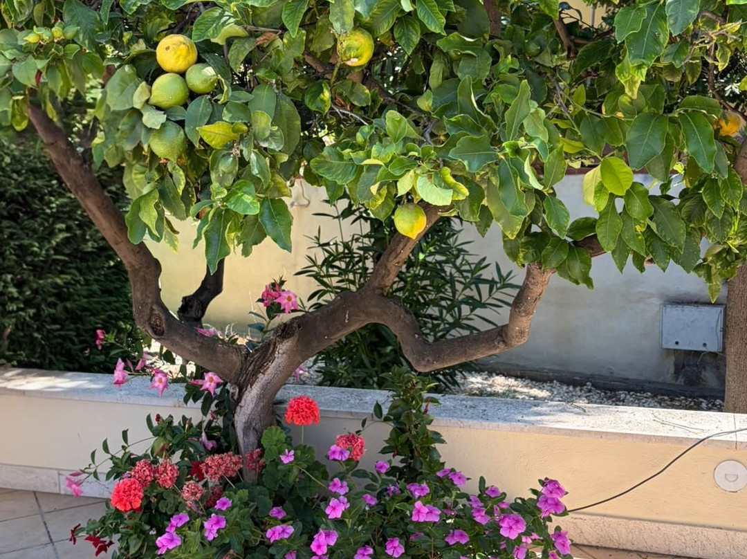 达芙妮别墅酒店主图