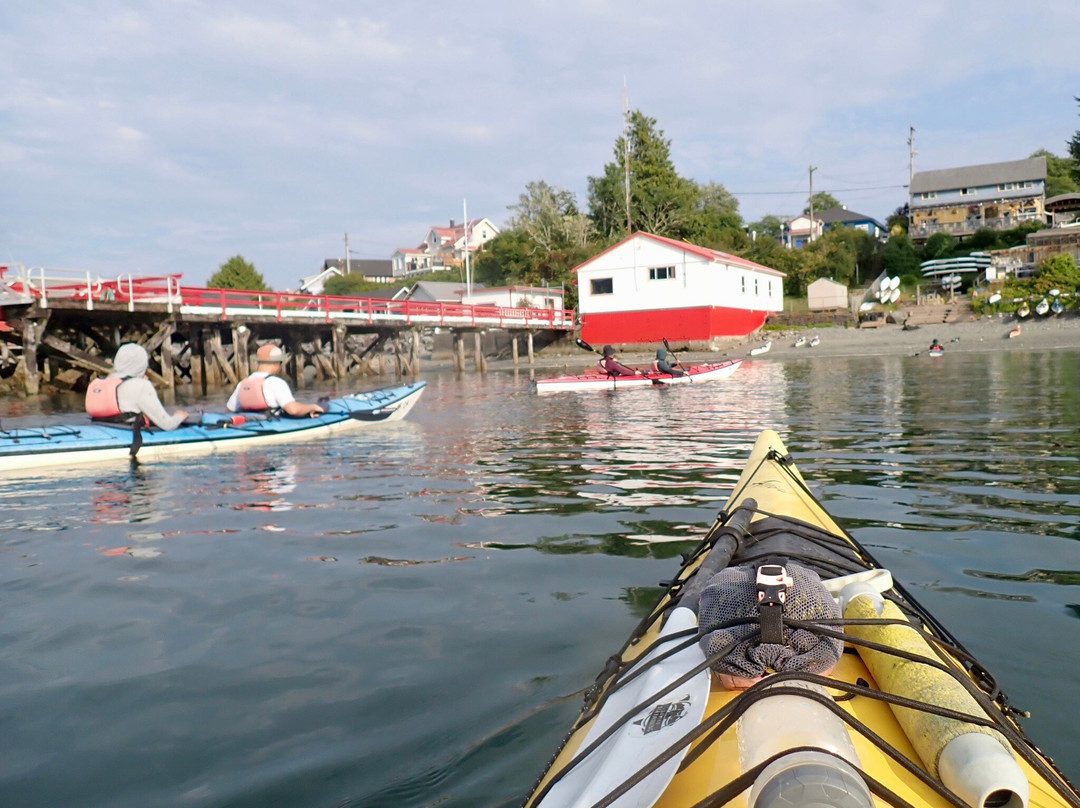 Tofino Sea Kayaking Day Tours-托菲诺必去景点