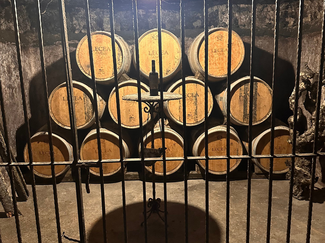 Bodegas Lecea-San Asensio必去景点