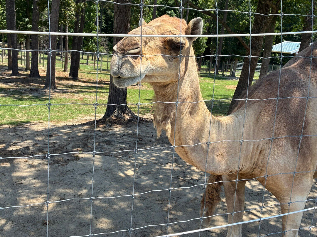 Broadway Zoological Park-Broadway必去景点