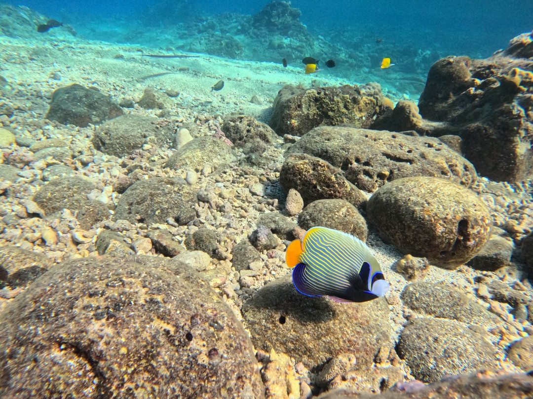 Just Diving-Bain Boeuf必去景点