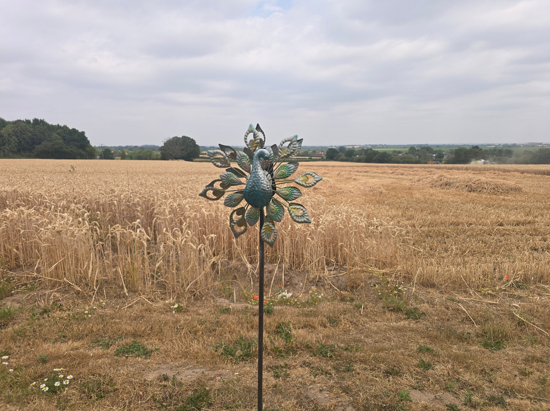 Peacocks Uk-Kempsey必去景点