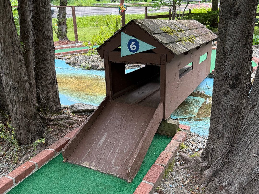 Lots-O-Balls Mini-Golf-Duxbury必去景点