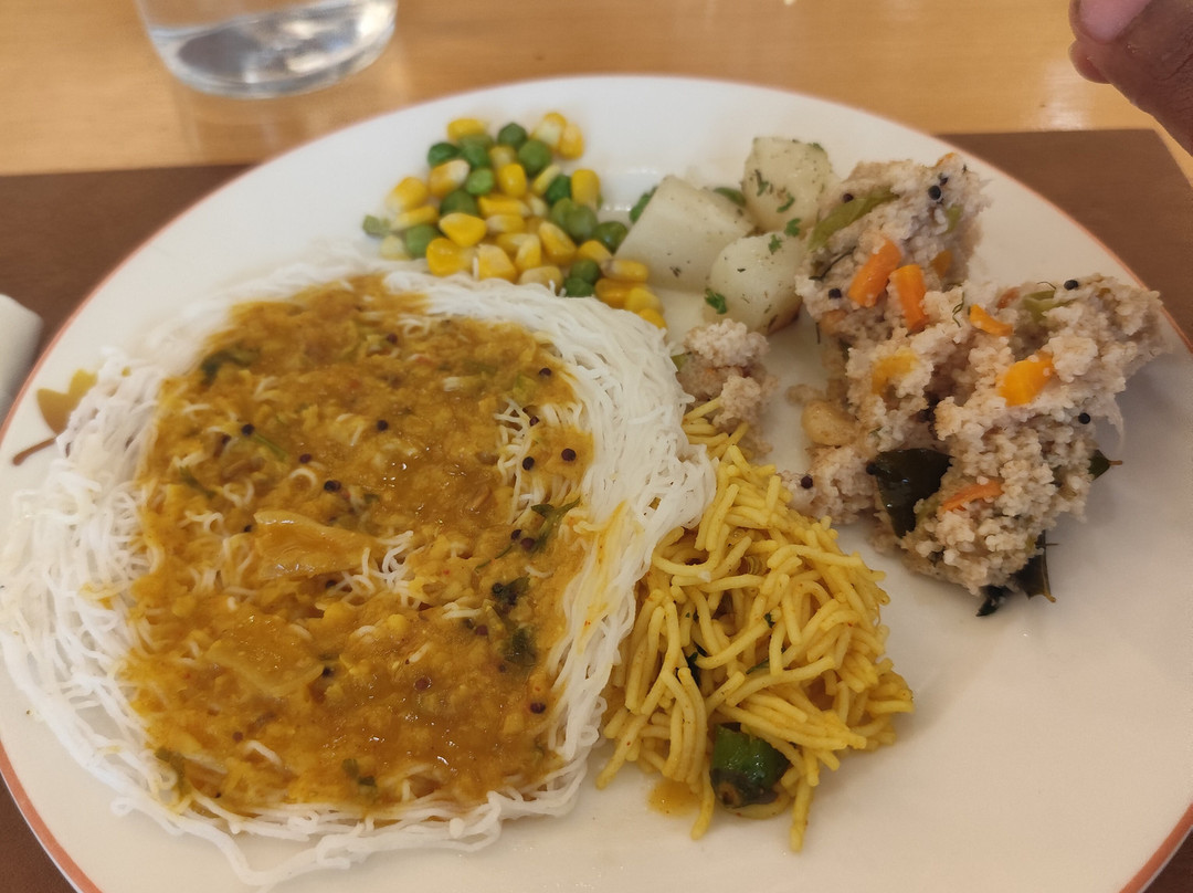 雅阁普度切里酒店主图