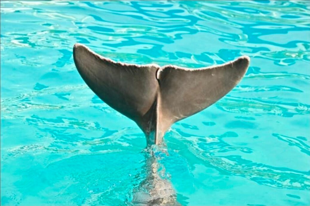 互动式水族馆-坎昆必去景点