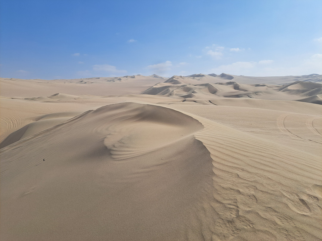 Huacachina Oasis-Huacachina必去景点