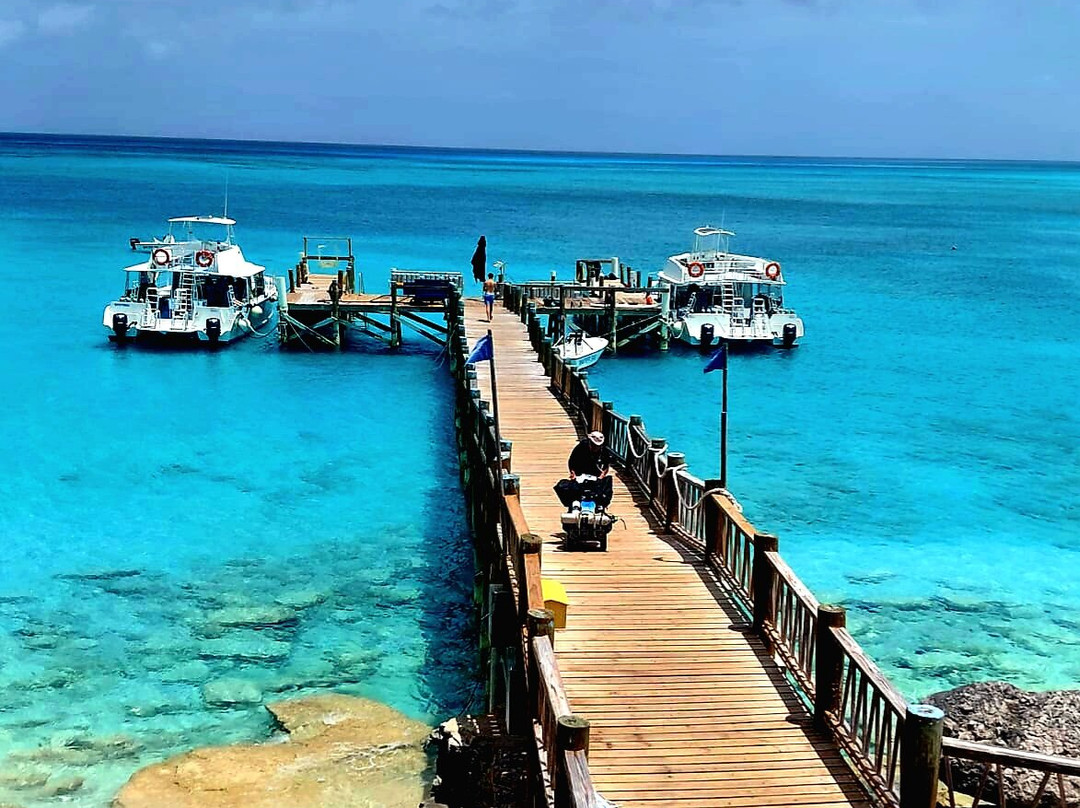 Only Blue Diving Dreams-Cockburn Town必去景点
