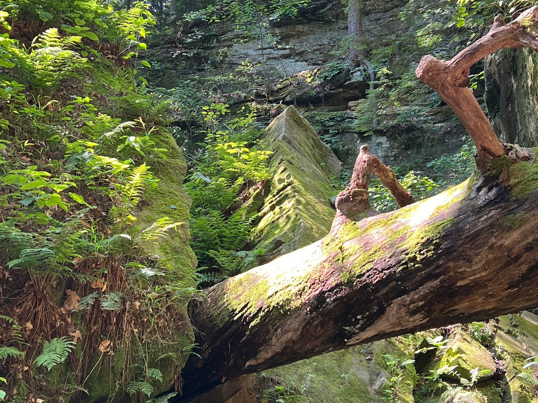 Turkey Run State Park-Marshall必去景点