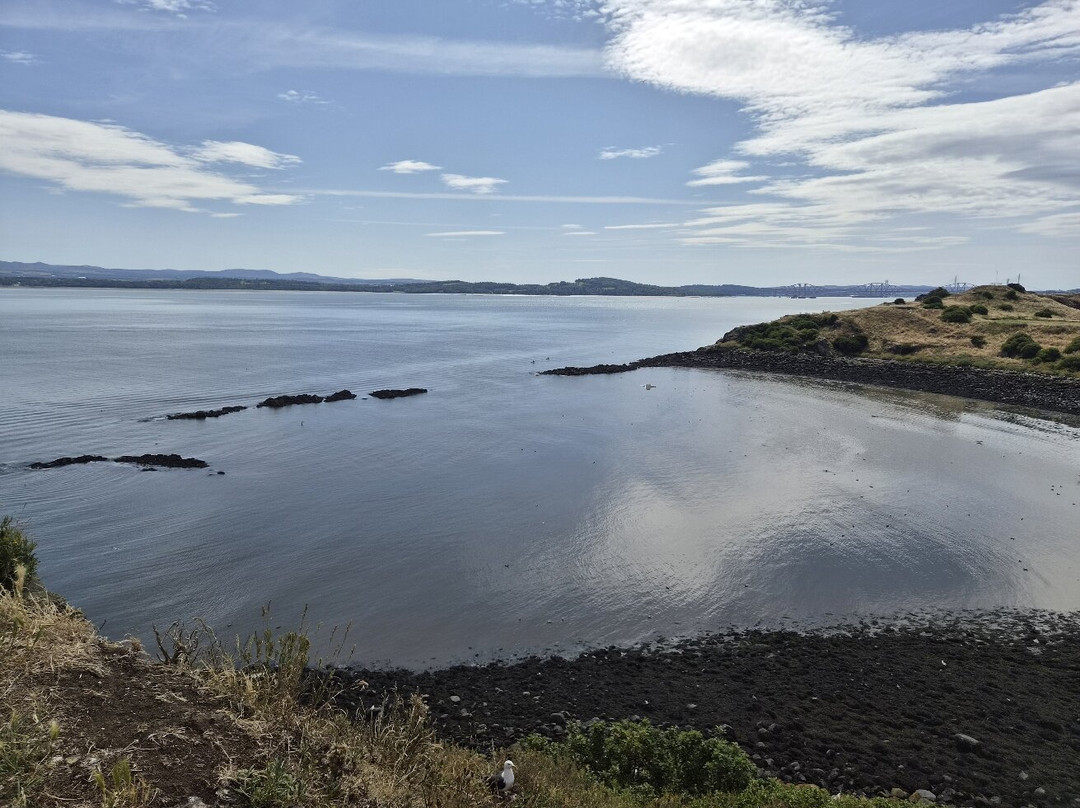 Inchcolm Abbey and Island-南昆斯费里必去景点