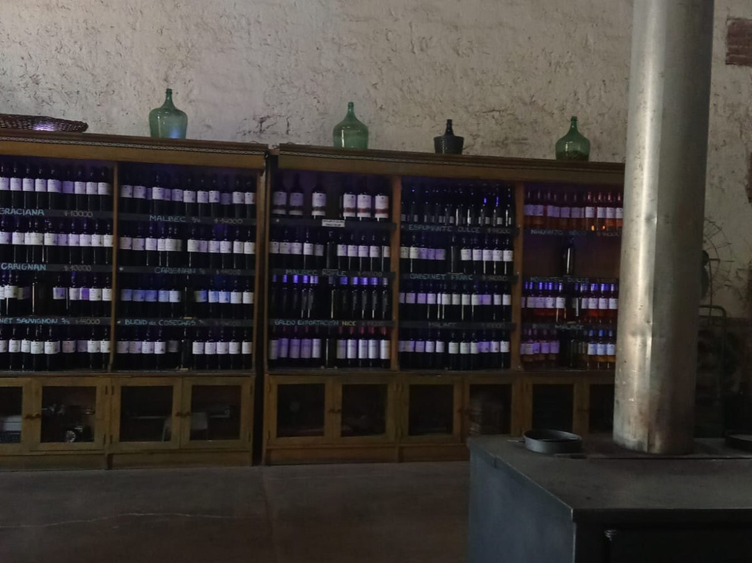 Bodega Familia Cecchin-Maipu必去景点