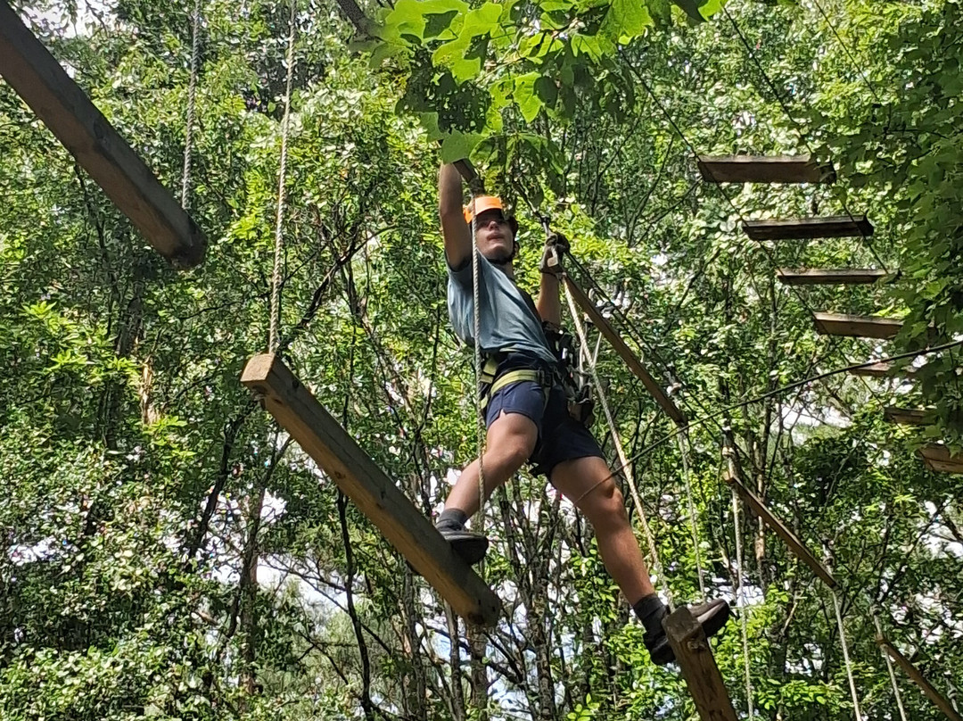 Canopy Adventure Park-中洛锡安必去景点