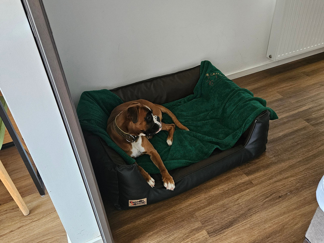 Schnitzers Dahoam - Hundefreundlich主图