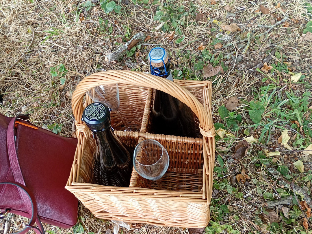 Bluestone Vineyards-索尔兹伯里必去景点
