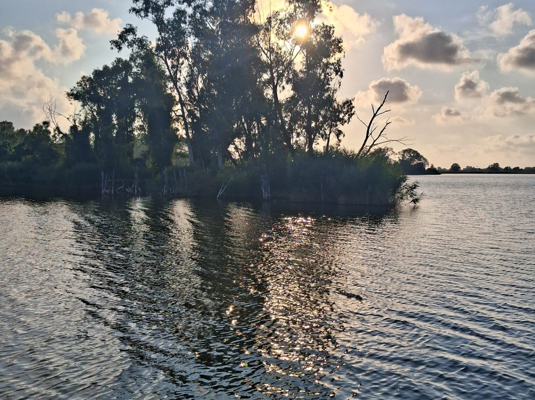 Lake Massaciuccoli-Torre del Lago Puccini必去景点