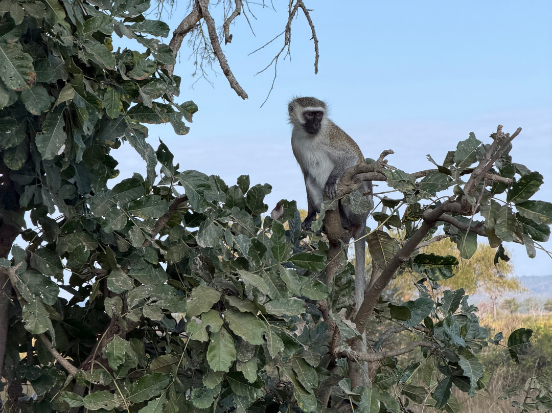 NICE ADVENTURE SAFARI-Dar es Salaam必去景点