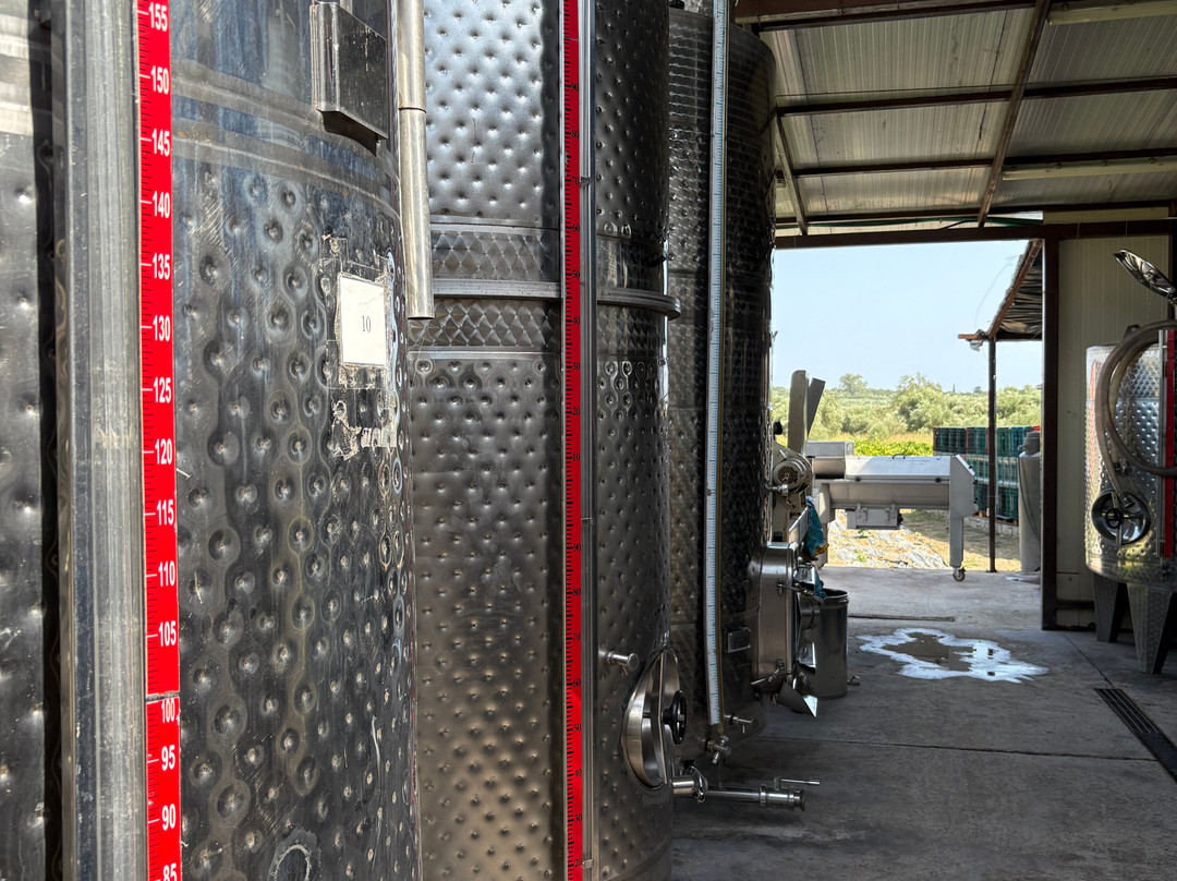 Grampsas Winery-Lagopodo必去景点