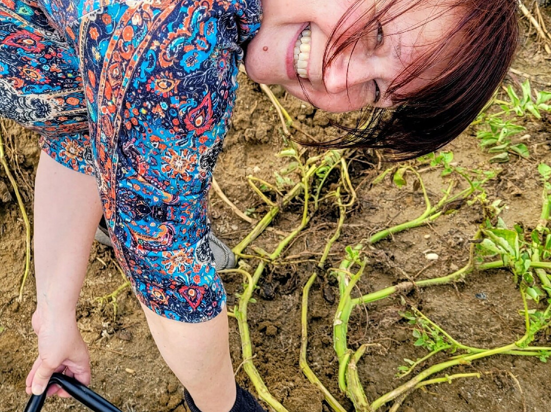 Hallock's U-Pick Farm-New Egypt必去景点
