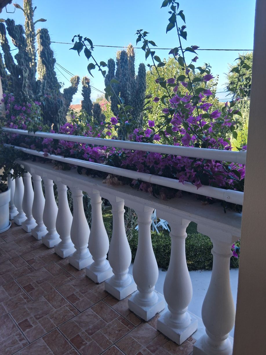 Theodoros Resort-旅行者