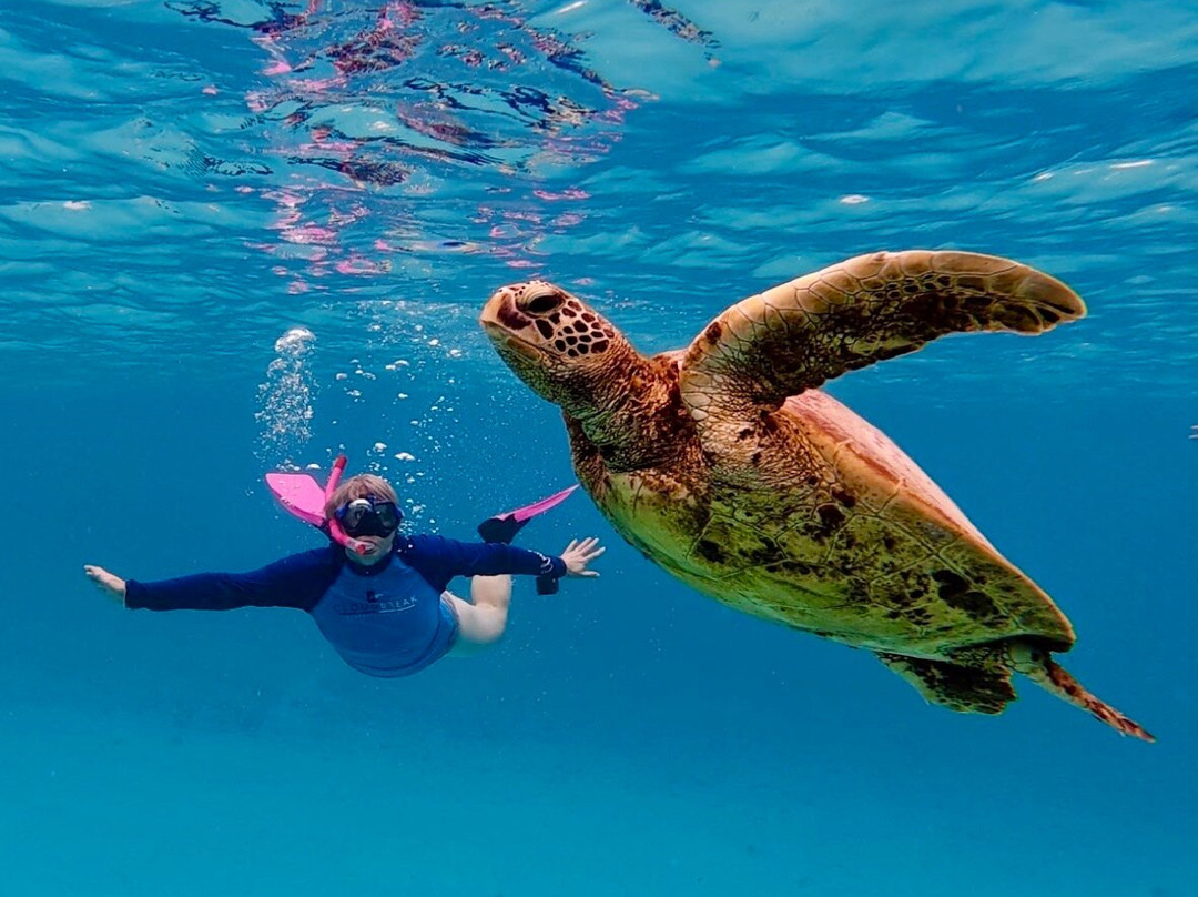 Sea Pace Rarotonga-堤堤卡维加必去景点