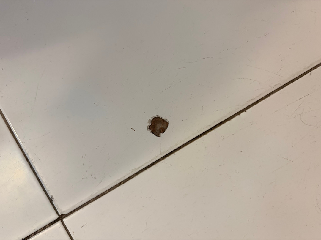 珍珠湾度假村主图