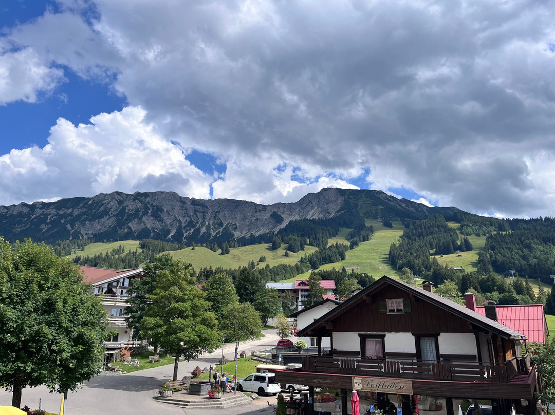 Hotel Alpengasthof Löwen主图