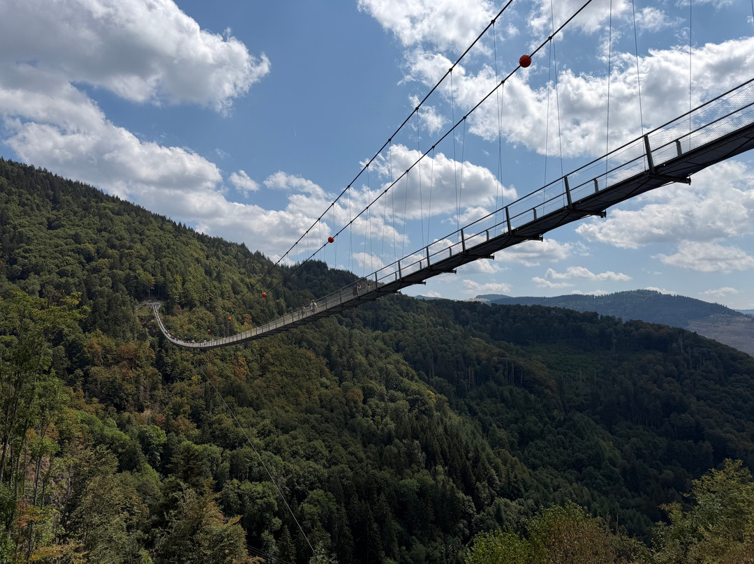 Blackforestline Hangebrucke-托特瑙必去景点