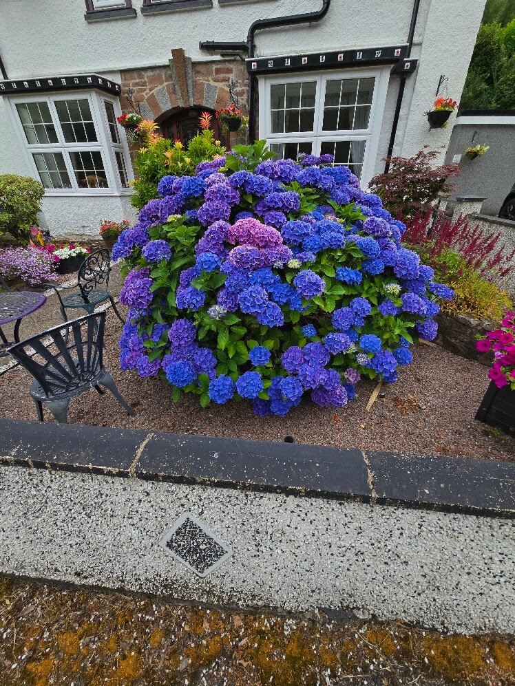 Edencoille Bed & Breakfast-旅行者