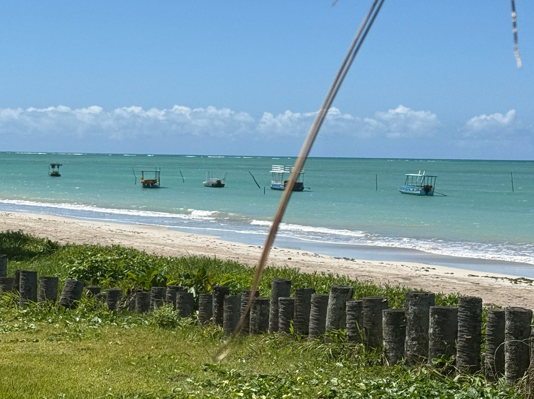 Praia de São Miguel dos Milagres-Sao Miguel dos Milagres必去景点