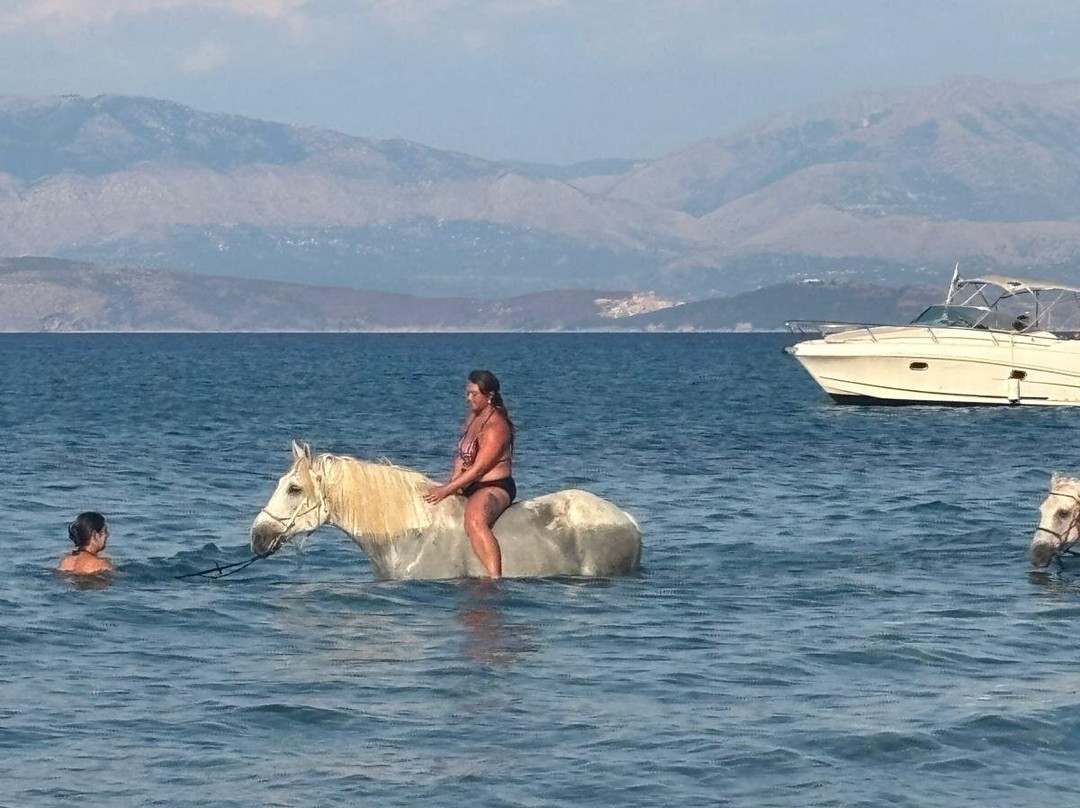 North Corfu Horses-Peritheia必去景点