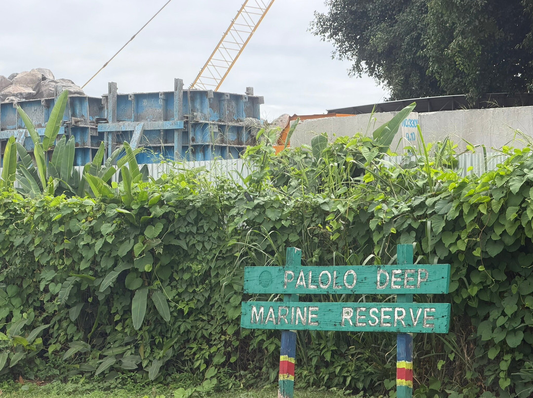 Palolo Deep Marine Reserve-阿皮亚必去景点