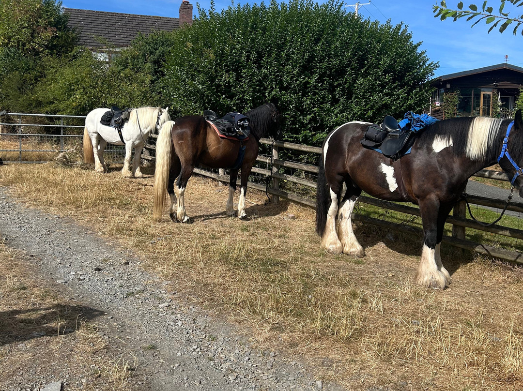 Freerein Riding Holidays-Clyro必去景点