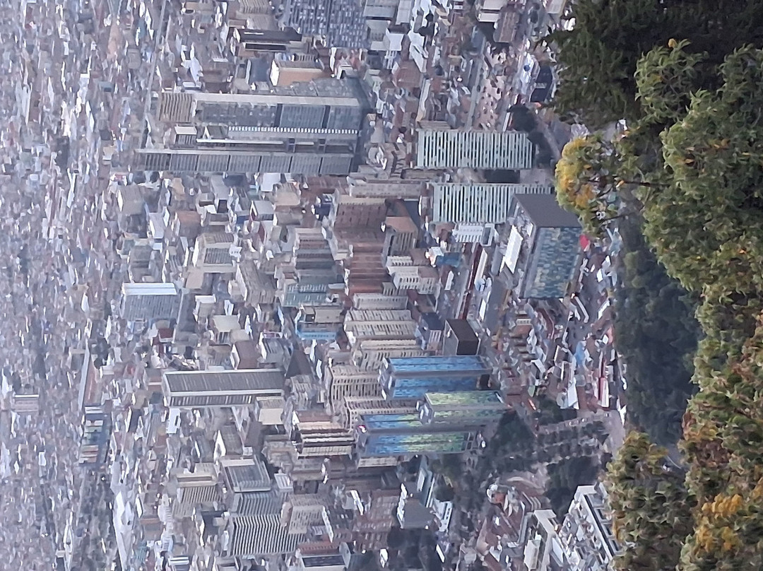 蒙塞拉特山-波哥大必去景点