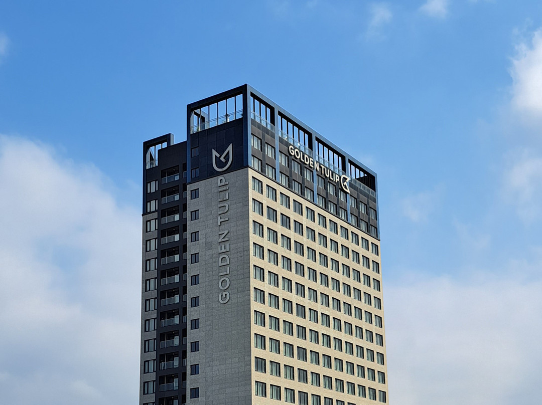 金郁金香艾佛龙仁饭店主图