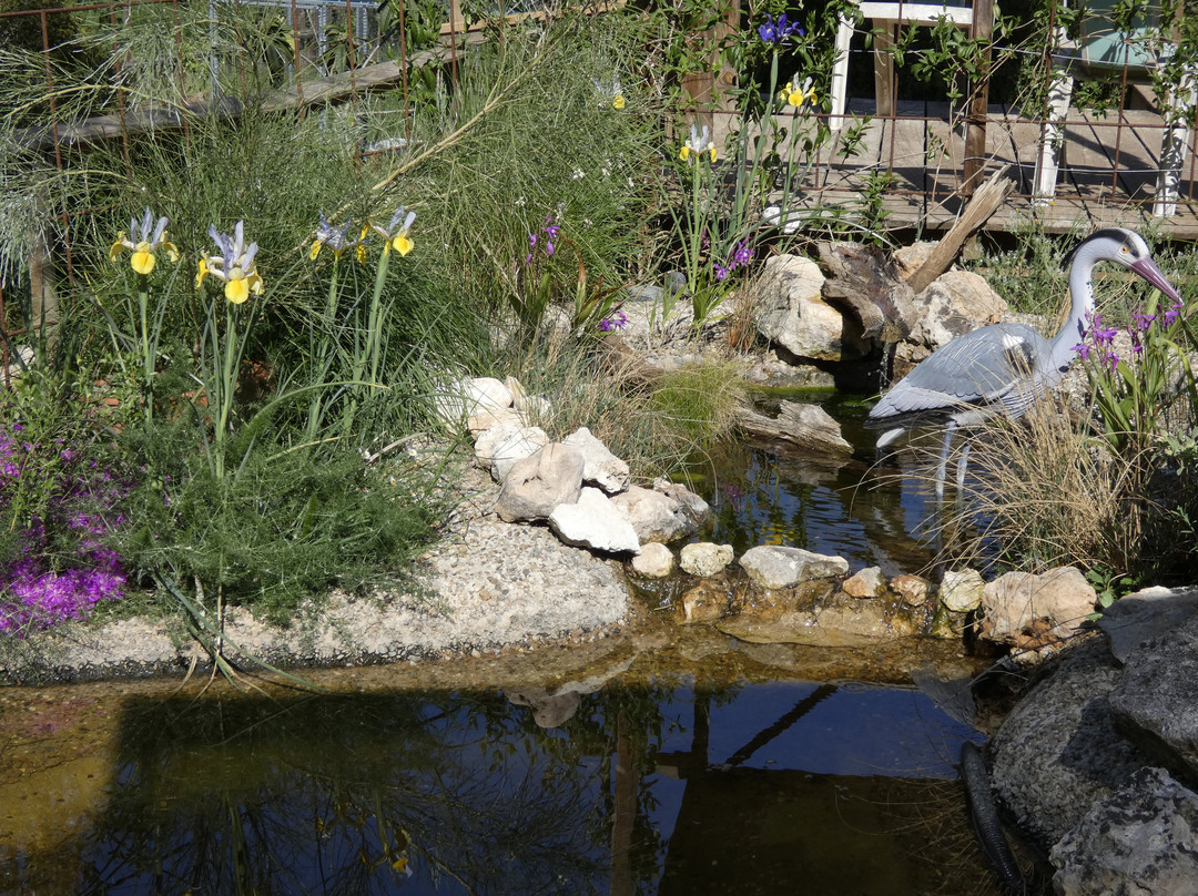 El Jardí Dels Ocells