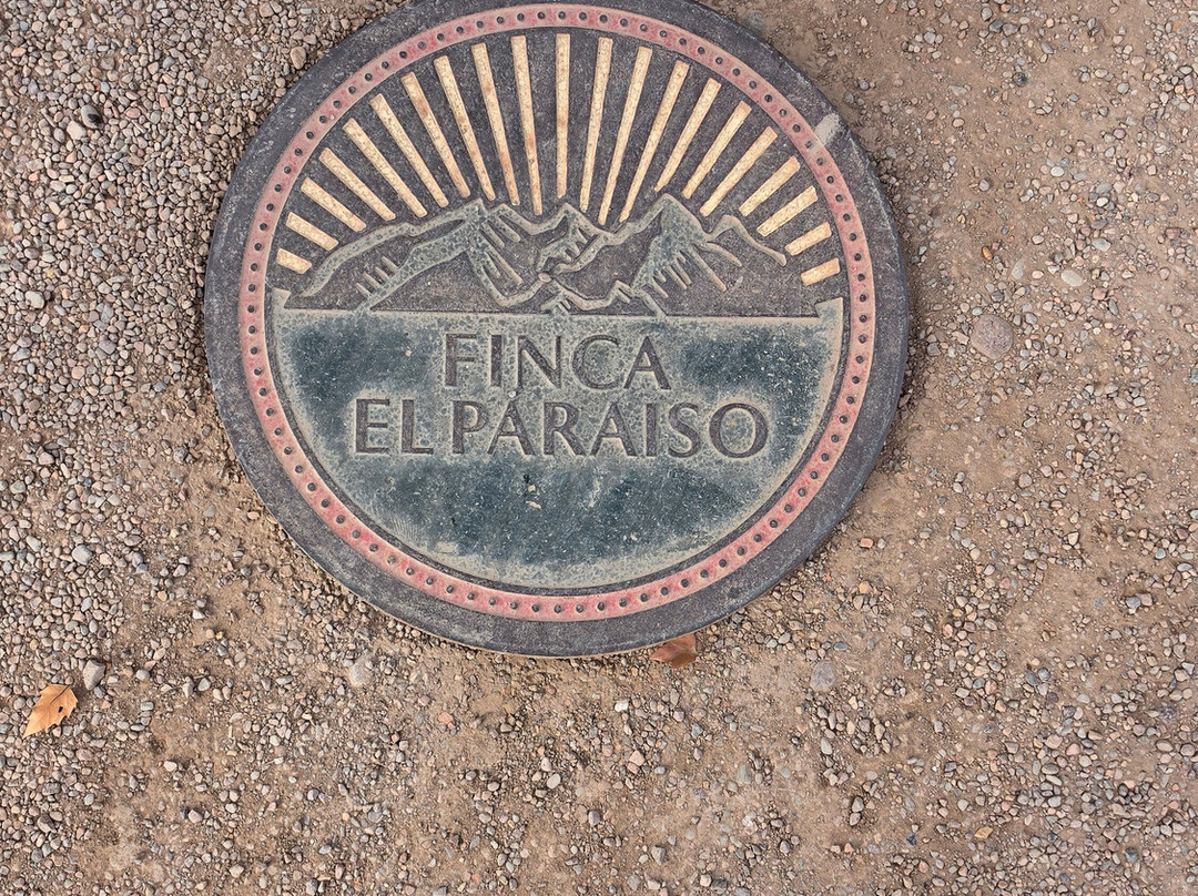 Finca El Paraíso - Bodega Luigi Bosca-Maipu必去景点