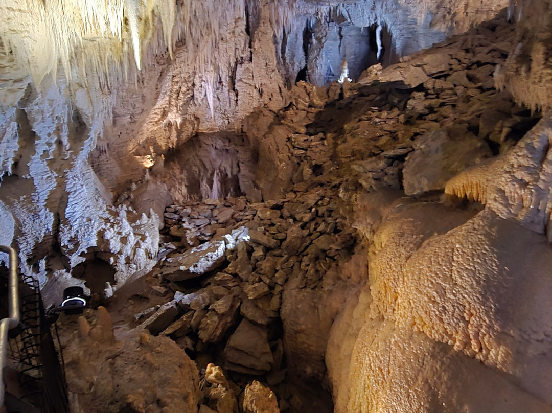 Ruakuri Cave-怀托摩洞穴必去景点