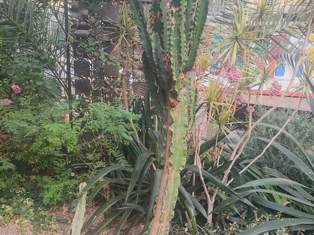 谢菲尔德冬季花园-谢菲尔德必去景点