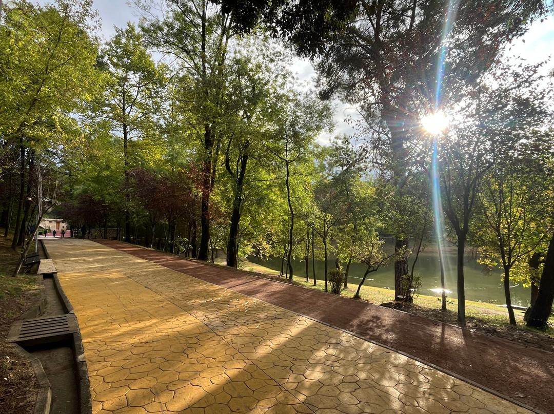 Grand Park (Parku i Madh)-地拉那必去景点