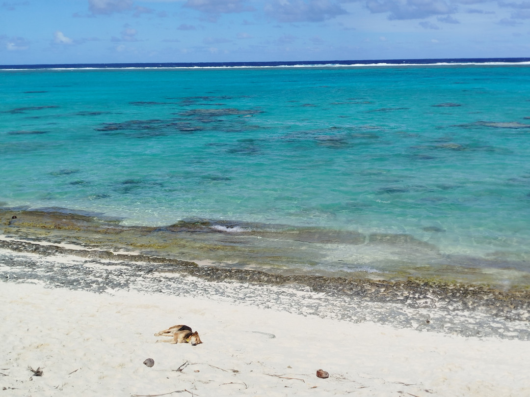 Titikaveka Beach-堤堤卡维加必去景点