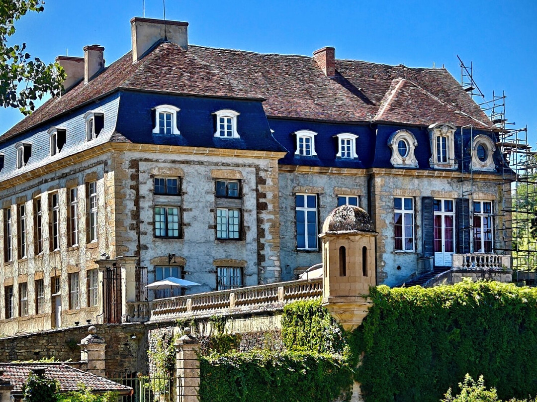 Chateau de Flee主图